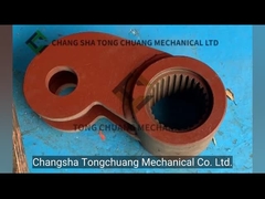 Schwing SLEWING LEVER utilizado para bomba de betão 10018071